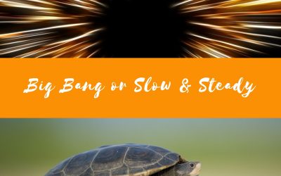 Big Bang or Slow & Steady?